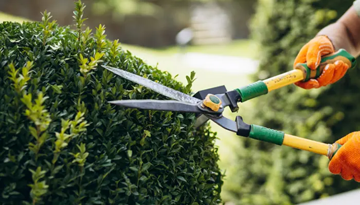 best garden shears