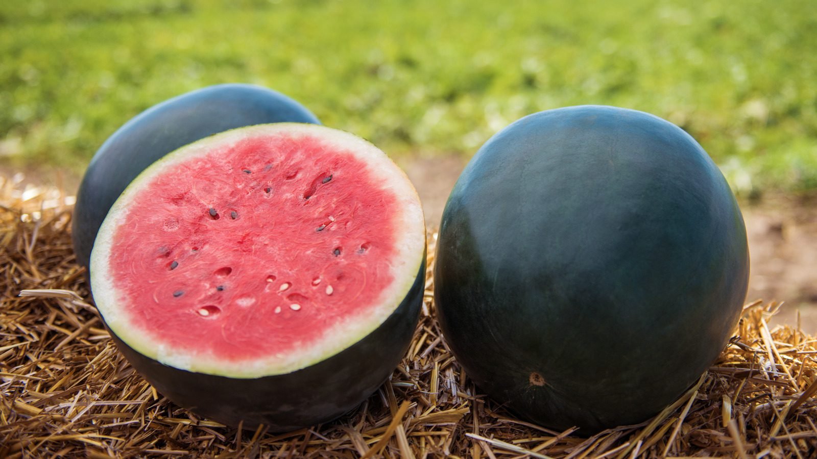 black diamond watermelon