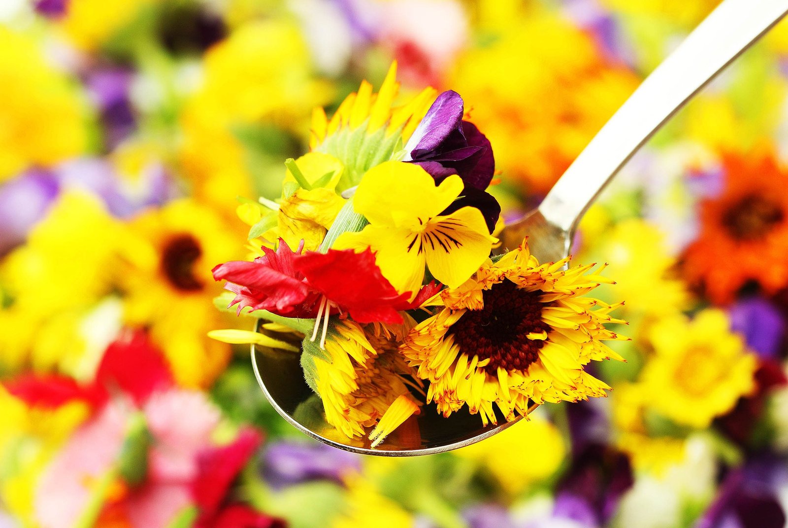 edible flowers